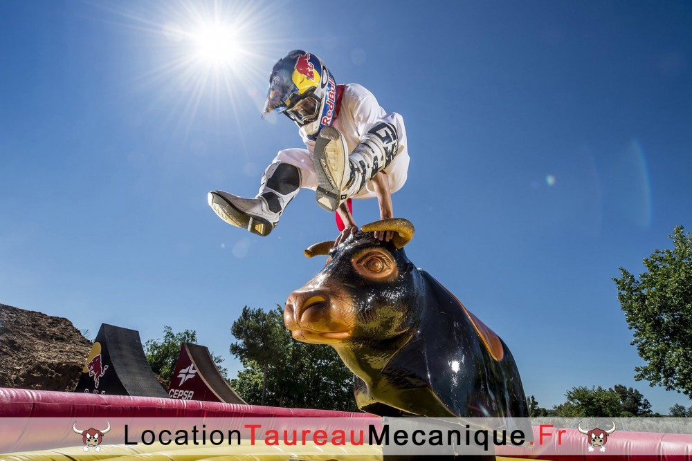 location-taureau-mecanique-promotion